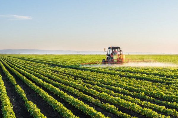 Insecticides