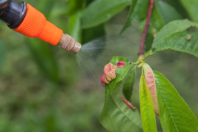 Fungicides